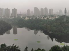 -重庆彩云湖湿地公园