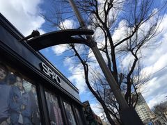 -宝健路步行街(Pedestrian Shopping Street)