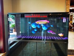 -民族饭荘(新华大街店)