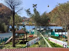 -栾川竹海野生动物园