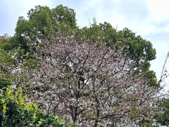 -长沙市青少年宫