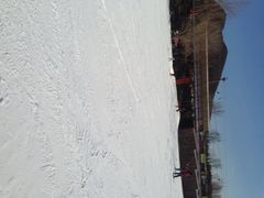朝阳公园亚布洛尼滑雪场-北京亚布洛尼朝阳公园滑雪场