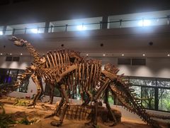 -自贡恐龙博物馆