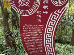 -成都老君山