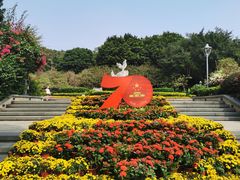 -金鸡山公园