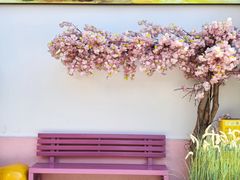 -芸南道·过桥米线(昆明老街旗舰店)