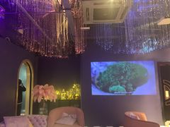 -Darling Queen·Mini·Live·House