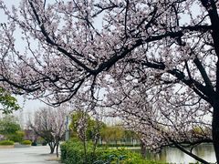 -同济大学(嘉定校区)