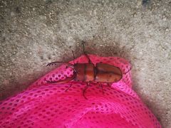 -碓臼峪自然风景区