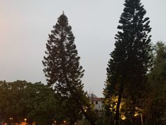 -荔湾湖公园