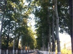 iphone_upload_pic-乌龙峡谷景区