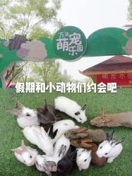 -萌宠亲子动物乐园(槐房万达店)