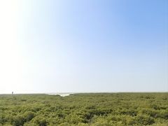 -北海金海湾红树林生态旅游区