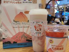 -伏小桃(明瓦廊店)