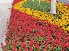 -无锡市市民中心