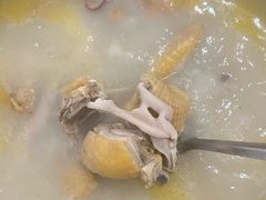 -15年老字号鑫鑫猪肚鸡·椰子鸡海南火锅(兴隆华侨农场店)