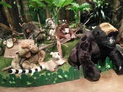 -济州岛泰迪熊博物馆