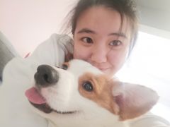 -浣熊柯尔鸭土拨鼠·电玩咖