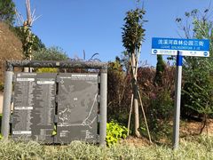 -广州市流溪河国家森林公园