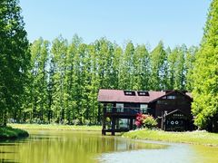 -黄海国家森林公园