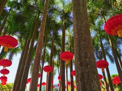 -深圳国际园林花卉博览园