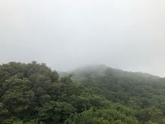 -普陀山风景区-佛顶山