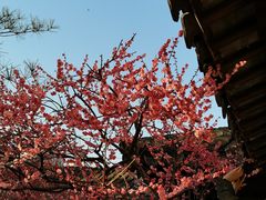 -太平天国历史博物馆(瞻园)