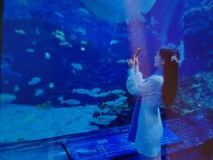 -海合安成都极地海洋公园