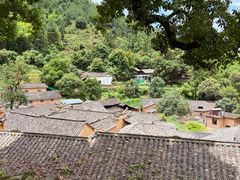 -杨家堂村