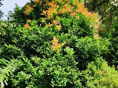 -云溪植物园