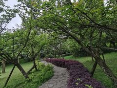 -重庆平顶山公园