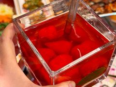 -野人部落(沈阳一店)