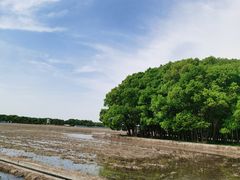 -嘉北郊野公园