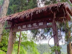 -鼓岭旅游度假区