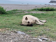 -七星潭蓝天广场