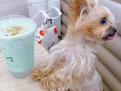 -Yee3·三号椰(上海中山公园龙之梦店)