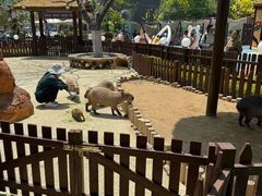 -大连森林动物园