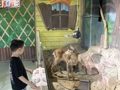-萌宠奇缘