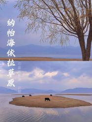 -纳帕海依拉草原