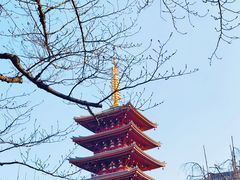 -浅草寺