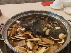 -太婆天府山珍酒楼(亚运村店)