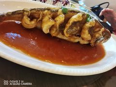 -鸿运楼烤鸭店(天桥店)