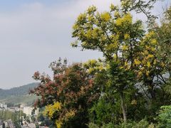 -青龙山国家森林公园