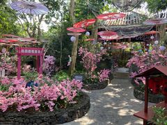 -海口观澜湖火山温泉谷