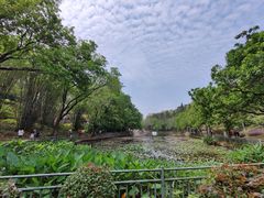 -深圳龙潭公园