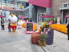 -中粮·祥云小镇