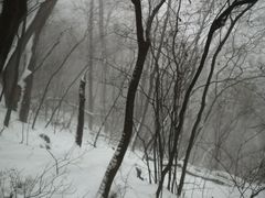 -紫金山索道-售票处