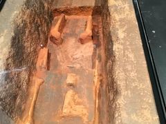 -盘龙城国家考古遗址公园