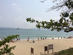 -亚龙湾海底世界