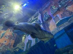 -华夏文旅海洋公园